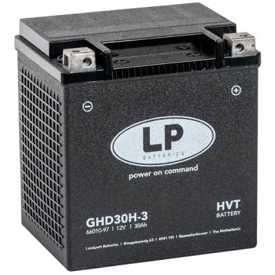 Baterie Atv LP Batteries HVT GEL 30Ah 430A 12V MG LHD30H-3 foto