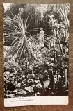 QW24 C - Carte postala - tematica turism - vedere - Cluj Napoca 16 - 1962