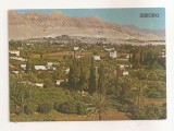 FA128 -Carte Postala - IORDANIA - Jericho. City of Palms, necirculata