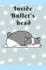 Inside bullets head
