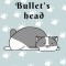 inside bullets head