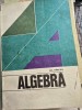 ALGEBRA - GH. FARCAS