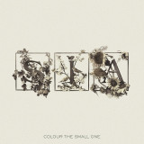 Colour the Small One (White Transparent Vinyl) | Sia, Island Records