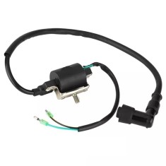 Bobina Inductie Kart - Go Karts 107cc 110cc 125cc 150cc - 2 fire