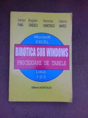 Birotica sub Windows, procesoare de tabele - Adrian Pana foto