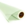 Folie de vinil fosforescenta neon colorata - Alb-verde, 2.5 cm latime