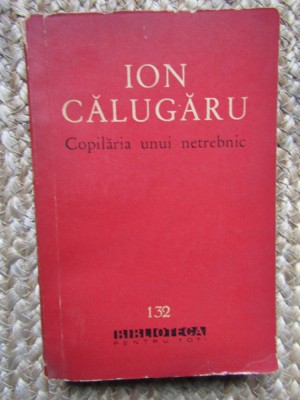ION CALUGARU - COPILARIA UNUI NETREBNIC foto