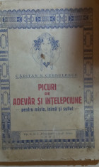 PICURI DE ADEVAR SI INTELEPCIUNE de capitan N. CERBULESCU (culegere de maxime ) foto