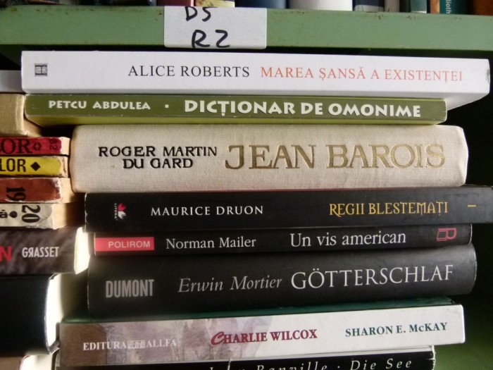 Dictionar de omonime