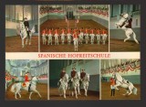 CPIB 21784 - CARTE POSTALA - VIENA. SCOALA DE ECHITATIE SPANIOLA, MOZAIC