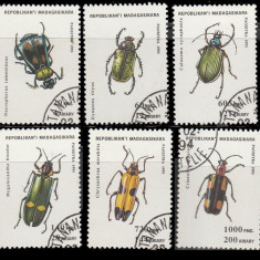 MADAGASCAR , MALAGASY 1993 - INSECTE ,TIMBRE STAMPILATE