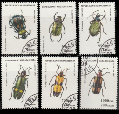 MADAGASCAR , MALAGASY 1993 - INSECTE ,TIMBRE STAMPILATE foto