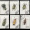 MADAGASCAR , MALAGASY 1993 - INSECTE ,TIMBRE STAMPILATE