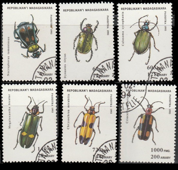 MADAGASCAR , MALAGASY 1993 - INSECTE ,TIMBRE STAMPILATE