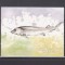 BULGARIA 2004 WWF FAUNA PROTEJATA PESTI STURIONI IN CARNET