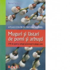 Muguri si lastari pentru pomi si arbusti - Atlas de recunoastere - Bernd Schulz