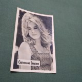 Cumpara ieftin FOTO TIP 9/6CM COOPERATIVA FOTOGRAFIA CATHERINE DENEUVE DE COLECTIE