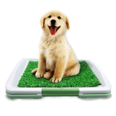 Tavita toaleta cu gazon artificial, pentru animale de companie foto