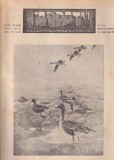 Revista Carpatii. Vanatoare, pescuit, chinologie, nr. 9-10,