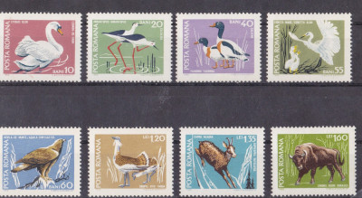 M1 TX5 2 - 1968 - Fauna din rezervatii naturale foto