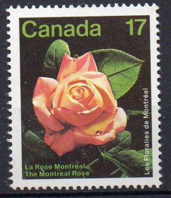CANADA 1981, Flora, serie neuzata, MNH foto