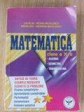 Matematica clasa a 10-a - Catalin-Petru Nicolescu, Madalina-Georgia Nicolescu