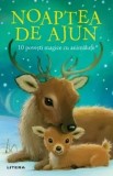 Cumpara ieftin Noaptea de Ajun. 10 povesti magice cu animalute/Rachel Delahaye