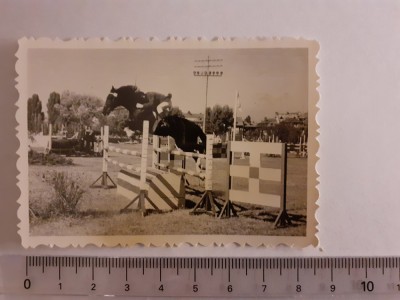 Fotografie cu echitație foto