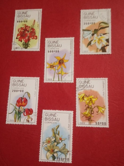 GUINEA-BISSAU, FLORA - 6 VALORI ȘTAMPILATE