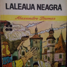 Alexandre Dumas - Laleaua neagra (1982)