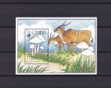 Coliță / Bloc Suvenir Gambia 1994 - Tematică Mixtă: Ciuperci (Leucoagaricus) și Antilope Eland - MNH -A99