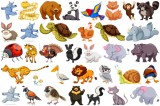 Sticker Animale Diverse - 60x90 cm