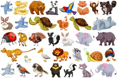 Sticker Animale Diverse - 60x90 cm foto