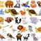 Sticker Animale Diverse - 60x90 cm