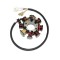 Stator KTM 250 400 450 520 525, HUSABERG 450 550 650 04- 08 Electrosport ESG146