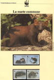 Irlanda 1992 - Jderul de pin, Set WWF, 6 poze, MNH (vezi descrierea)