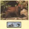 Irlanda 1992 - Jderul de pin, Set WWF, 6 poze, MNH (vezi descrierea)
