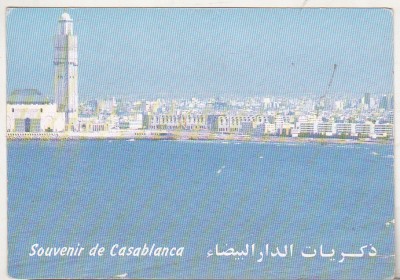 bnk cp Maroc - Casablanca - Vedere - necirculata foto