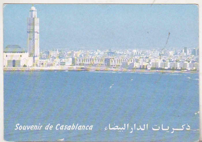 bnk cp Maroc - Casablanca - Vedere - necirculata