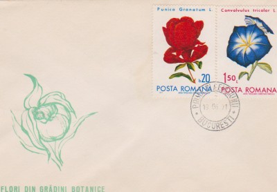 FDC FLORI DIN GRADINI BOTANICE foto
