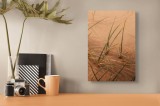 Tablou Canvas, "Viața ascunsă &icirc;n nisipuri liniștite", Iarbă, Dune, Nisip, Textură, Natură, Simplu, Calm, Organic, Verde, Moale, 26 x 39 cm, CMCLASS
