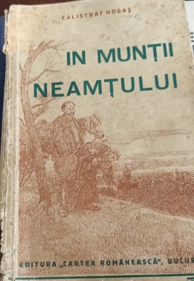 IN MUNTII NEAMTULUI foto