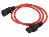 Cablu de Alimentare 1m cu Blocare IEC LOCK C13-C14