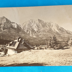 Carte Postala circulata veche RPR - Poiana Tapului vedere spre muntii Bucegi