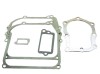 Set garnituri motor Briggs&amp;Straton (Seriile 110900, 111900) 4 CP, Taiwan