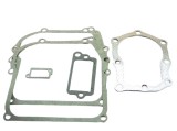 Cumpara ieftin Set garnituri motor Briggs&amp;Straton (Seriile 110900, 111900) 4 CP