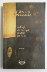 ASFINTIT DE EUROPA , RASRAIT DE ASIE , roman de FANUS NEAGU , 2012 foto