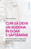Cum să devii un Buddha &icirc;n doar 5 săptăm&acirc;ni