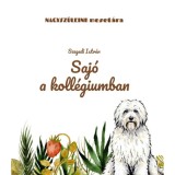 Saj&oacute; a koll&eacute;giumban - Szegedi Istv&aacute;n