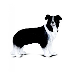 Figurina Border Collie